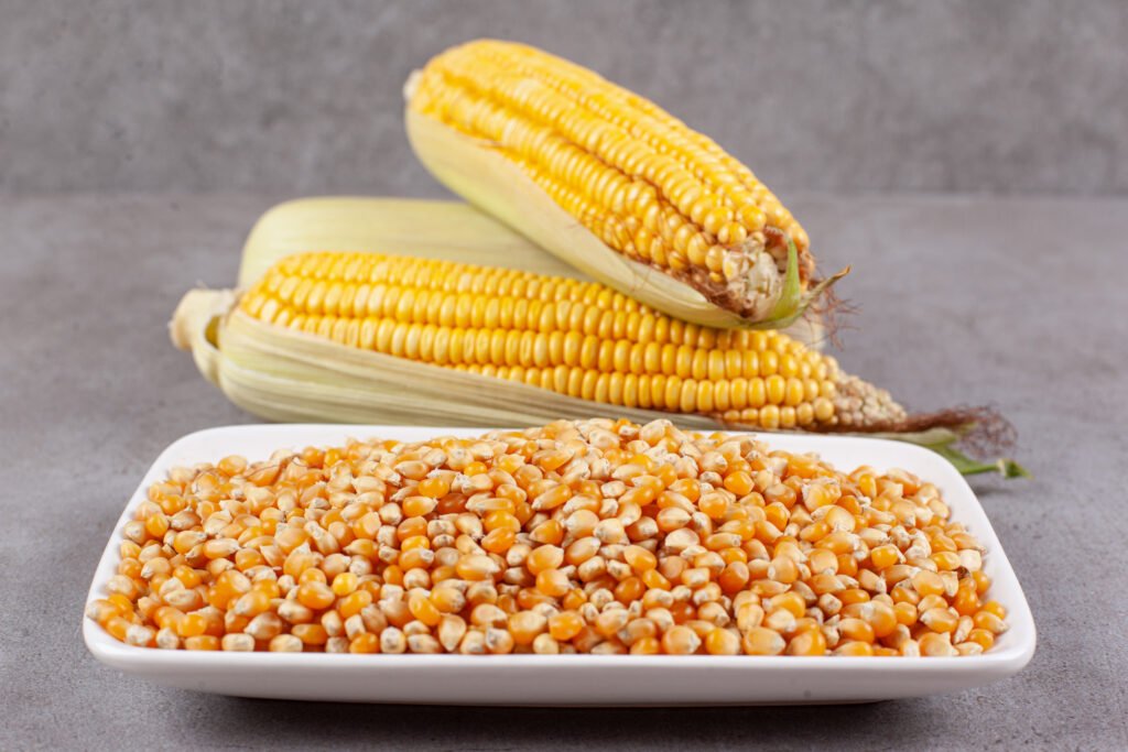 fresh corn ears with uncooked corn beans