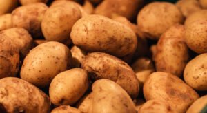 Fresh Potato Supplier in Uttar Pradesh Fresh Potato Supplier in Uttar Pradesh